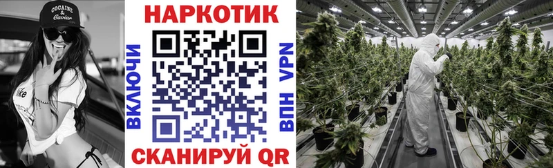 COCAIN Новотитаровская