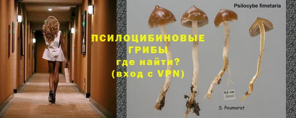 PSILOCYBIN Абинск