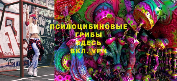 PSILOCYBIN Абинск