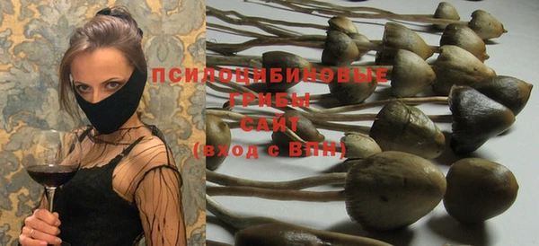 PSILOCYBIN Абинск